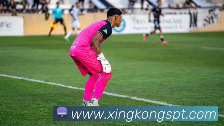 星空体育发展历程